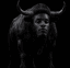 bull wallet